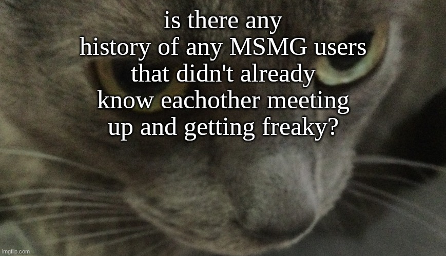 Sweetie | is there any history of any MSMG users that didn't already know eachother meeting up and getting freaky? | image tagged in sweetie | made w/ Imgflip meme maker