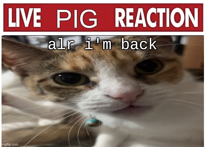 woah | alr i'm back | image tagged in woah | made w/ Imgflip meme maker