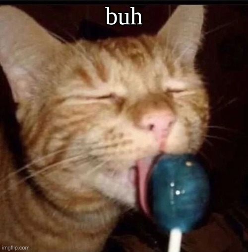 silly goober 2 | buh | image tagged in silly goober 2 | made w/ Imgflip meme maker