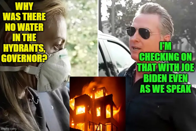 Newsom Calls Fire Commissioner Joe Biden For Help | WHY WAS THERE NO WATER IN THE HYDRANTS, GOVERNOR? I'M CHECKING ON THAT WITH JOE BIDEN EVEN AS WE SPEAK | image tagged in gavin newsom,la fires,joe biden | made w/ Imgflip meme maker