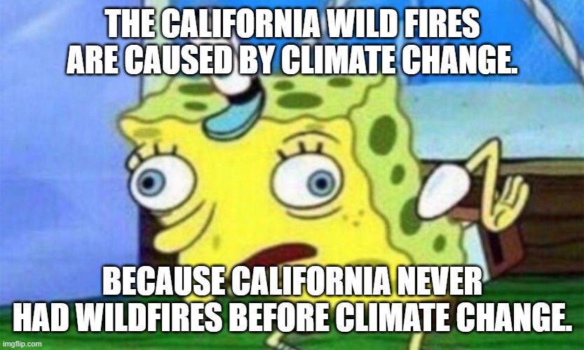 Hey liberals, if climate change caused these fires then climate change has always existed.  California always has fires. | THE CALIFORNIA WILD FIRES ARE CAUSED BY CLIMATE CHANGE. BECAUSE CALIFORNIA NEVER HAD WILDFIRES BEFORE CLIMATE CHANGE. | image tagged in california fires | made w/ Imgflip meme maker