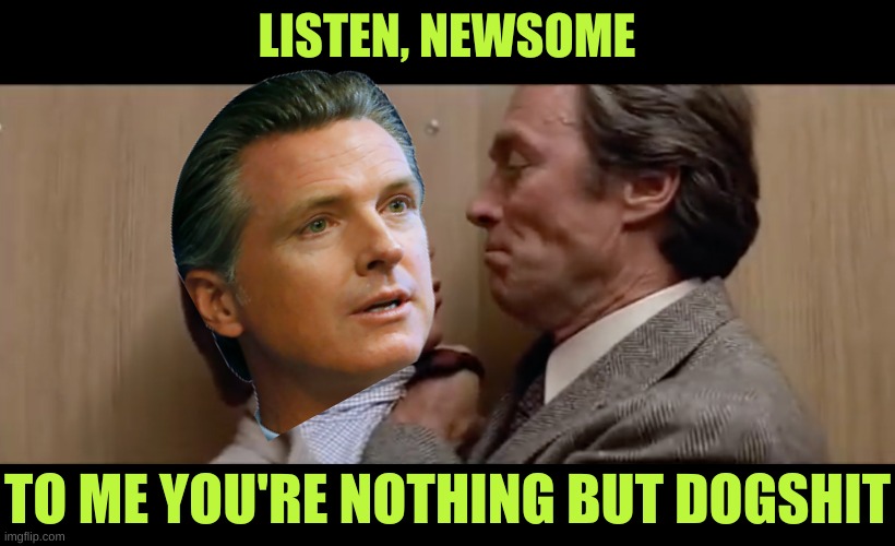 The California Governor is nothing but a big steaming pile of it | LISTEN, NEWSOME; TO ME YOU'RE NOTHING BUT DOGSHIT | image tagged in dirty harry sudden impact | made w/ Imgflip meme maker