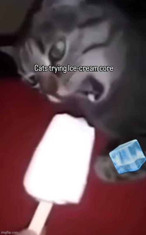 I need to get up in 5 hours | made w/ Imgflip meme maker