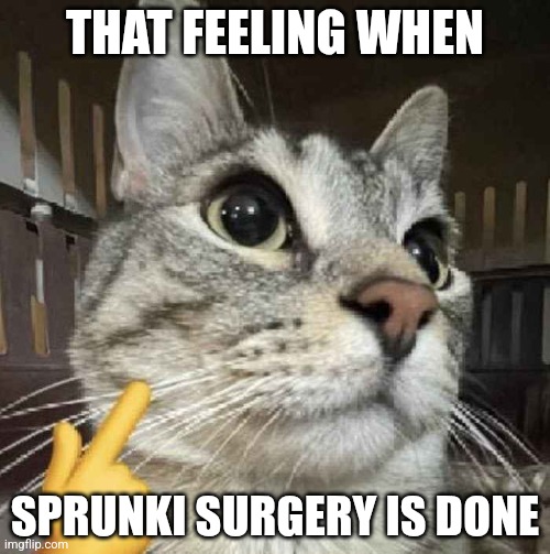 Mewing Cat | THAT FEELING WHEN; SPRUNKI SURGERY IS DONE | image tagged in mewing cat | made w/ Imgflip meme maker