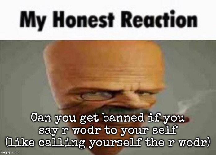 If you can, that literally makes no sense | Can you get banned if you say r wodr to your self (like calling yourself the r wodr) | image tagged in my honest reaction,msmg | made w/ Imgflip meme maker