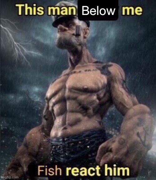 this man above me fish react him | Below | image tagged in this man above me fish react him,msmg | made w/ Imgflip meme maker