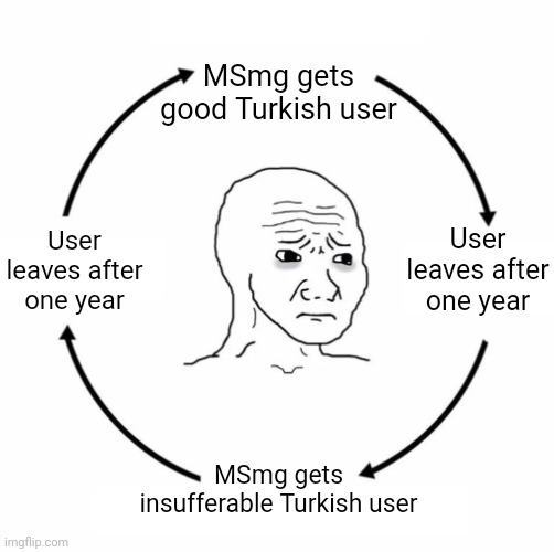 . | MSmg gets good Turkish user; User leaves after one year; User leaves after one year; MSmg gets insufferable Turkish user | image tagged in sad wojak cycle | made w/ Imgflip meme maker