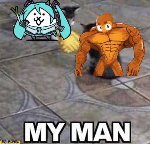 Cats shaking hands | image tagged in cats shaking hands | made w/ Imgflip meme maker