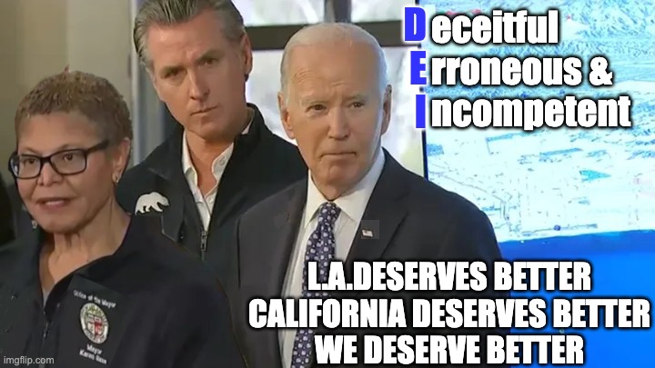 All To Blame | D
E
I; eceitful
rroneous &
ncompetent; L.A.DESERVES BETTER
CALIFORNIA DESERVES BETTER
WE DESERVE BETTER | image tagged in california,la,usa | made w/ Imgflip meme maker