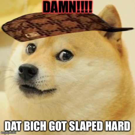 Doge | DAMN!!!! DAT BICH GOT SLAPED HARD | image tagged in memes,doge,scumbag | made w/ Imgflip meme maker