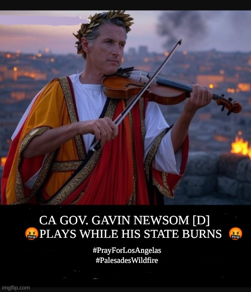 expression memes | 🤬PLAYS WHILE HIS STATE BURNS  🤬; CA GOV. GAVIN NEWSOM [D]; #PrayForLosAngelas
#PalesadesWildfire | image tagged in ca gov galvin newsome,los angela's wildfire | made w/ Imgflip meme maker