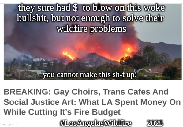 they sure had $  to blow on this woke
bullshit, but not enough to solve their 
wildfire problems; you cannot make this sh-t up! #LosAngelasWildfire; 2025 | made w/ Imgflip meme maker