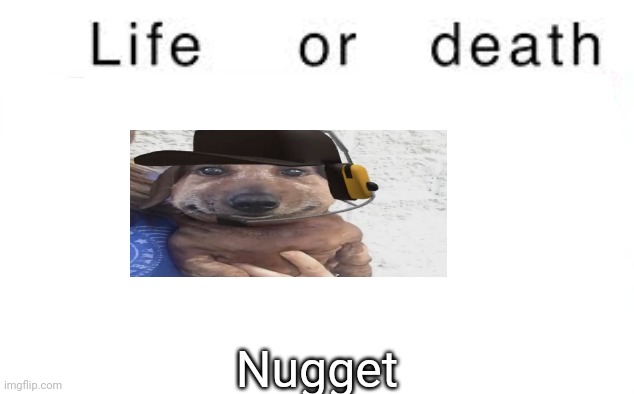 Life or death | Nugget | image tagged in life or death,msmg,memes | made w/ Imgflip meme maker