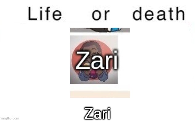 Life or death | Zari | image tagged in life or death,memes,msmg | made w/ Imgflip meme maker
