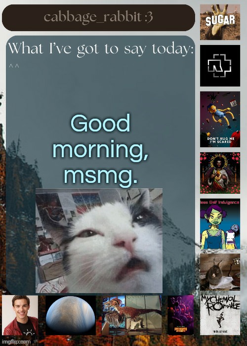 Sex | Good morning, msmg. | image tagged in cabbage_rabbit | made w/ Imgflip meme maker