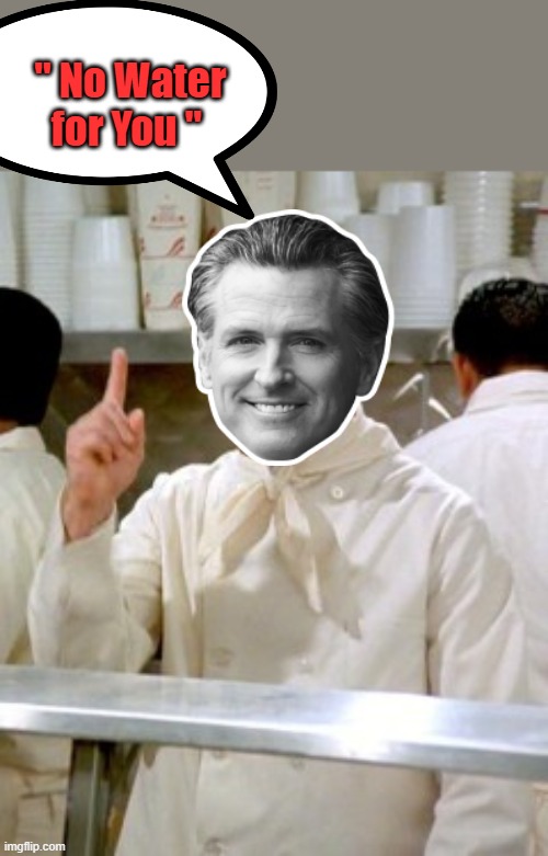 " No Water for fires " | " No Water for You " | image tagged in no soup for you | made w/ Imgflip meme maker