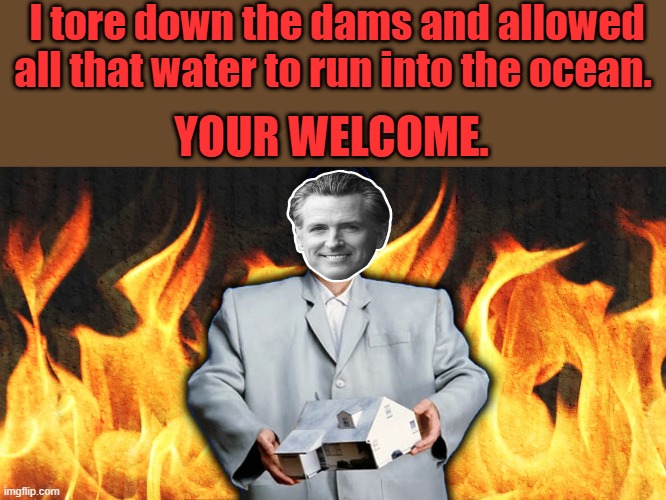 SAVE the Smelt.. screw the people. | I tore down the dams and allowed all that water to run into the ocean. YOUR WELCOME. | made w/ Imgflip meme maker