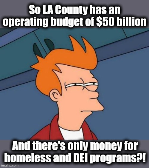 Futurama Fry Meme | So LA County has an operating budget of $50 billion And there's only money for
homeless and DEI programs?! | image tagged in memes,futurama fry | made w/ Imgflip meme maker