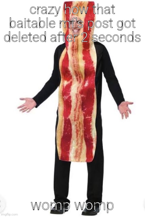 Bacon Suit | crazy how that baitable mf's post got deleted after 2 seconds; womp womp | image tagged in bacon suit | made w/ Imgflip meme maker