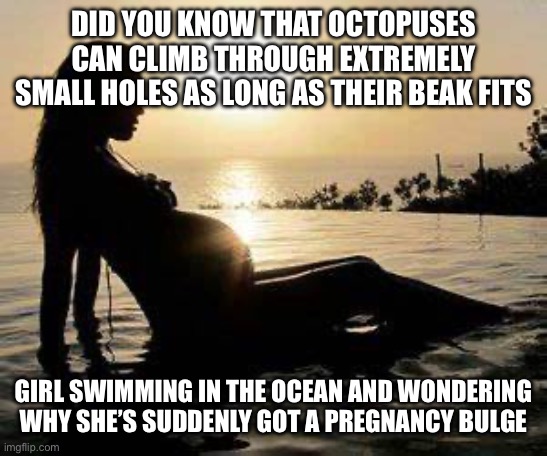 DID YOU KNOW THAT OCTOPUSES CAN CLIMB THROUGH EXTREMELY SMALL HOLES AS LONG AS THEIR BEAK FITS; GIRL SWIMMING IN THE OCEAN AND WONDERING WHY SHE’S SUDDENLY GOT A PREGNANCY BULGE | image tagged in dirty meme week | made w/ Imgflip meme maker