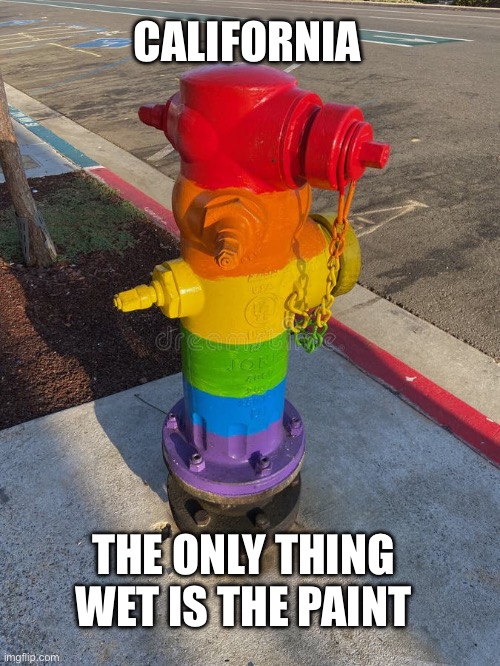 2014: Californians vote to spend billions on water storage. 2025: Newsome STILL hasn’t built it. | CALIFORNIA; THE ONLY THING WET IS THE PAINT | image tagged in rainbow fire hydrant | made w/ Imgflip meme maker