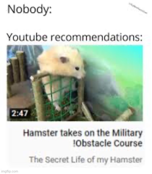 Hampter soldier | made w/ Imgflip meme maker