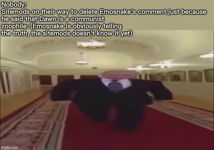 Wide Putin Walking | Nobody:
Sitemods on their way to delete Emosnake's comment just because he said that Dawn is a communist zoophile: (Emosnake is obviously telling the truth, the sitemods doesn't know it yet) | image tagged in wide putin walking | made w/ Imgflip meme maker