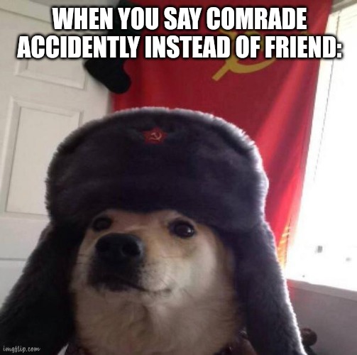 Russian Doge | WHEN YOU SAY COMRADE ACCIDENTLY INSTEAD OF FRIEND: | image tagged in russian doge | made w/ Imgflip meme maker