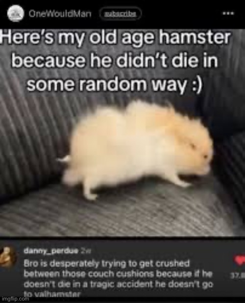 Squish thy hamster | made w/ Imgflip meme maker