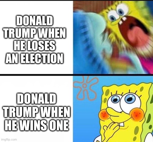 Just so you know I am not American and neutral! | DONALD TRUMP WHEN HE LOSES AN ELECTION; DONALD TRUMP WHEN HE WINS ONE | image tagged in spongebob yelling,memes,politics,america,donald trump,election | made w/ Imgflip meme maker