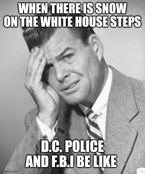 Snow is a nickname for a drug that's the joke | WHEN THERE IS SNOW ON THE WHITE HOUSE STEPS; D.C. POLICE AND F.B.I BE LIKE | image tagged in not this shit again | made w/ Imgflip meme maker