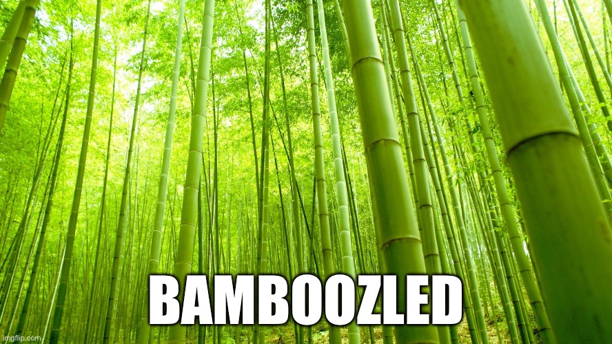 bamboo | BAMBOOZLED | image tagged in bamboo | made w/ Imgflip meme maker