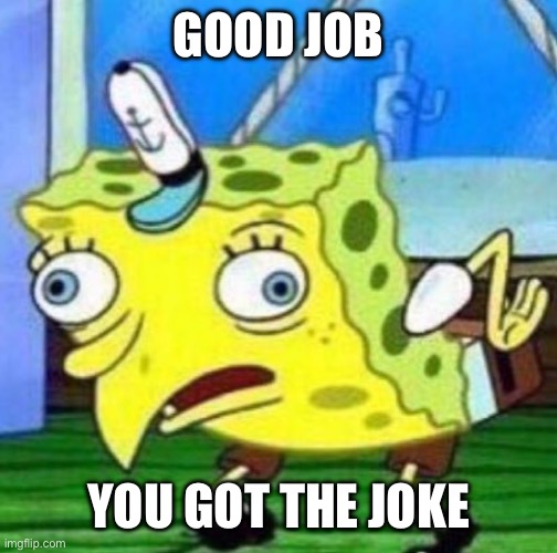 Sarcastic spongebob | GOOD JOB YOU GOT THE JOKE | image tagged in sarcastic spongebob | made w/ Imgflip meme maker