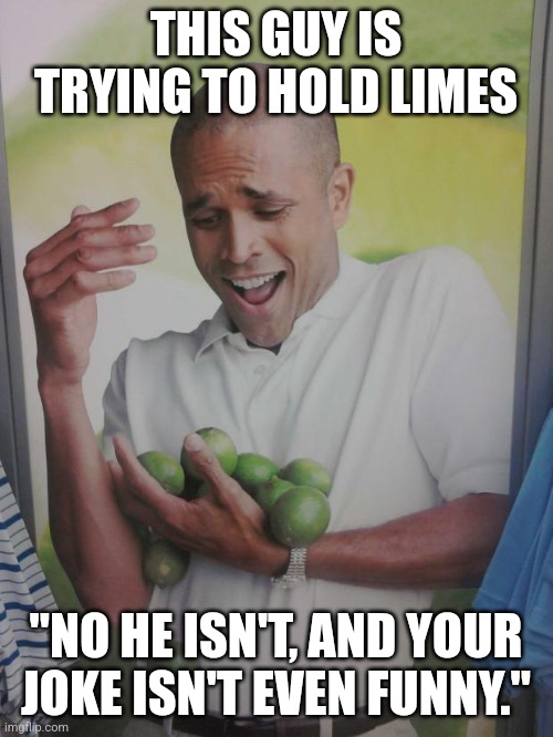 Why Can't I Hold All These Limes | THIS GUY IS TRYING TO HOLD LIMES; "NO HE ISN'T, AND YOUR JOKE ISN'T EVEN FUNNY." | image tagged in memes,why can't i hold all these limes | made w/ Imgflip meme maker