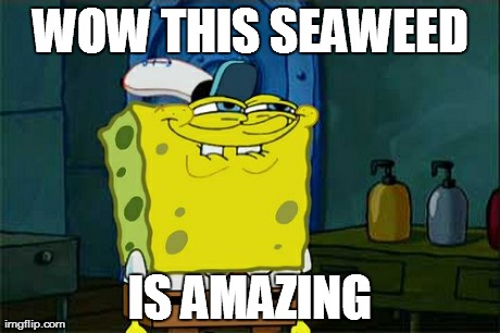 Don't You Squidward Meme | WOW THIS SEAWEED IS AMAZING | image tagged in memes,dont you squidward | made w/ Imgflip meme maker