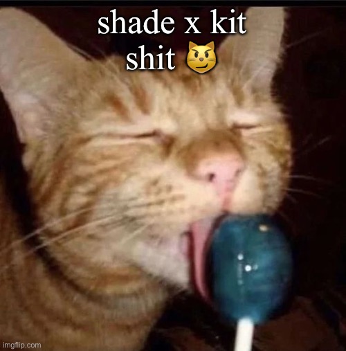 this ones an old ship :sob: | shade x kit

shit 😼 | image tagged in silly goober 2 | made w/ Imgflip meme maker