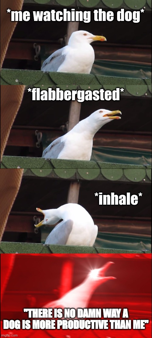 *me watching the dog* *flabbergasted* *inhale* "THERE IS NO DAMN WAY A DOG IS MORE PRODUCTIVE THAN ME" | image tagged in memes,inhaling seagull | made w/ Imgflip meme maker