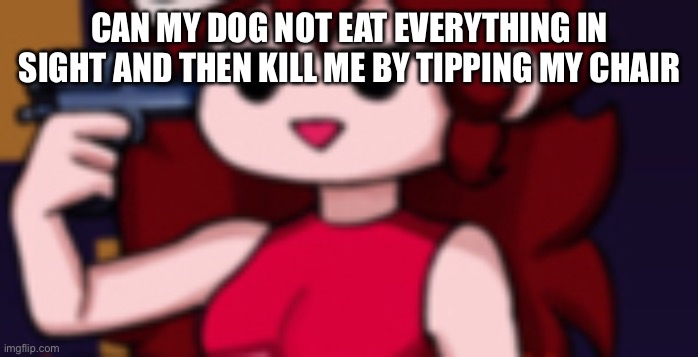 CAN HE STOP | CAN MY DOG NOT EAT EVERYTHING IN SIGHT AND THEN KILL ME BY TIPPING MY CHAIR | made w/ Imgflip meme maker