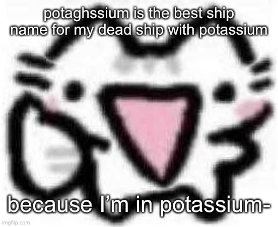 silly cat thumbs up (content aware scale) | potaghssium is the best ship name for my dead ship with potassium; because I’m in potassium- | image tagged in silly cat thumbs up content aware scale | made w/ Imgflip meme maker