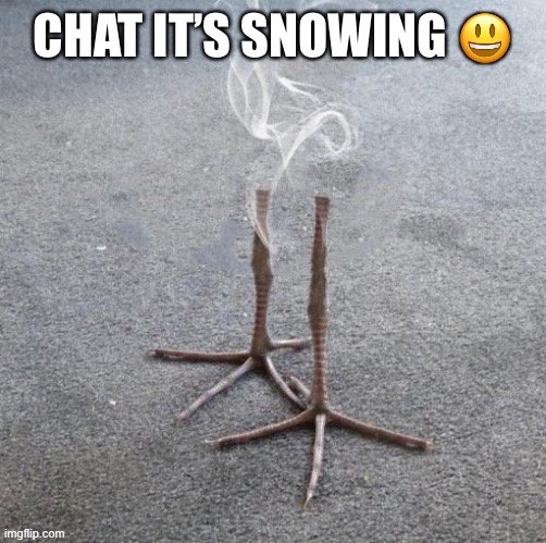 Hasn’t snowed here in like 3 years | CHAT IT’S SNOWING 😃 | made w/ Imgflip meme maker