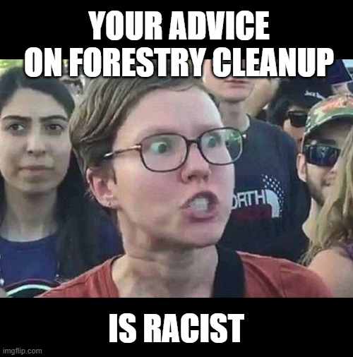 Triggered Liberal | YOUR ADVICE ON FORESTRY CLEANUP IS RACIST | image tagged in triggered liberal | made w/ Imgflip meme maker