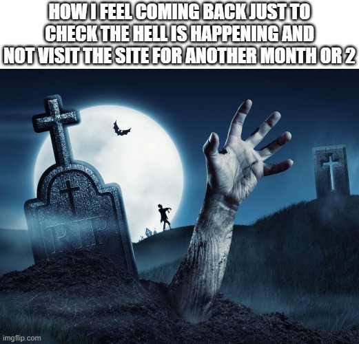 balls | HOW I FEEL COMING BACK JUST TO CHECK THE HELL IS HAPPENING AND NOT VISIT THE SITE FOR ANOTHER MONTH OR 2 | image tagged in also balls | made w/ Imgflip meme maker