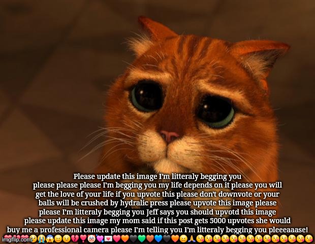 Upvote begging in 2025 ? (don't worry I updated the image bro) | Please update this image I'm litteraly begging you please please please I'm begging you my life depends on it please you will get the love of your life if you upvote this please don't downvote or your balls will be crushed by hydralic press please upvote this image please please I'm litteraly begging you Jeff says you should upvotd this image please update this image my mom said if this post gets 5000 upvotes she would buy me a professional camera please I'm telling you I'm litteraly begging you pleeeaaase!
 ❤️💔❤️😢😭😱😖😣💔❣️🤡💘💌❤️🧡🖤💚🤎💙🖤🧡😖🙏😘😘😘😘😘😘😘😘😘😘😘😘😘😘 | image tagged in puss in boots eyes | made w/ Imgflip meme maker