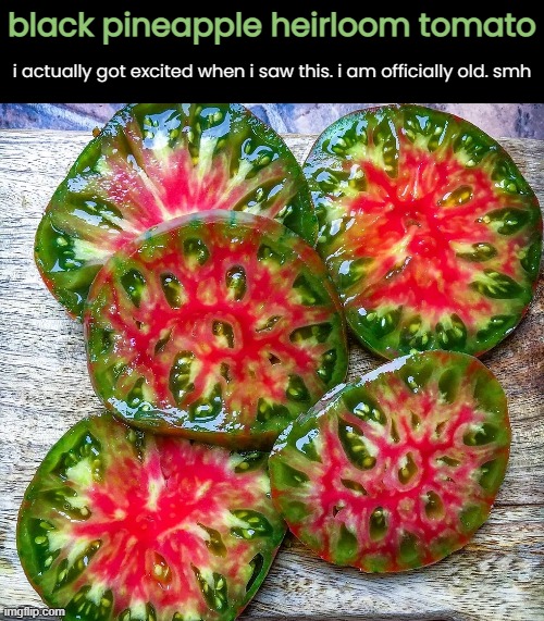 I'm slowly morphing into that old bat from Steel Magnolias | black pineapple heirloom tomato; i actually got excited when i saw this. i am officially old. smh | image tagged in funny memes,gen x,tomatoes | made w/ Imgflip meme maker