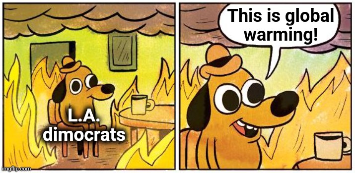 This is global warming! | This is global
warming! L.A.
dimocrats | image tagged in this is fine blank,memes,democrats,true believers,los angeles,wildfires | made w/ Imgflip meme maker