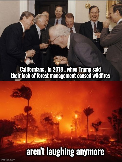 Tough job being right all the time | Californians , in 2018 , when Trump said their lack of forest management caused wildfires; aren't laughing anymore | image tagged in memes,laughing men in suits,california fires,liberal stupidity,fiery but mostly peaceful,disaster | made w/ Imgflip meme maker