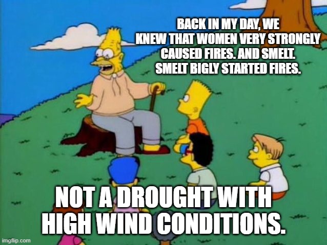 Back in my day | BACK IN MY DAY, WE KNEW THAT WOMEN VERY STRONGLY CAUSED FIRES. AND SMELT. SMELT BIGLY STARTED FIRES. NOT A DROUGHT WITH HIGH WIND CONDITIONS | image tagged in back in my day | made w/ Imgflip meme maker