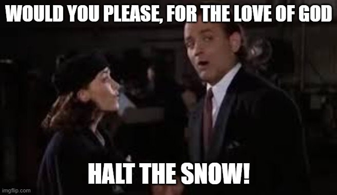 Please stop snowing | WOULD YOU PLEASE, FOR THE LOVE OF GOD; HALT THE SNOW! | image tagged in snow,winter,snow day | made w/ Imgflip meme maker