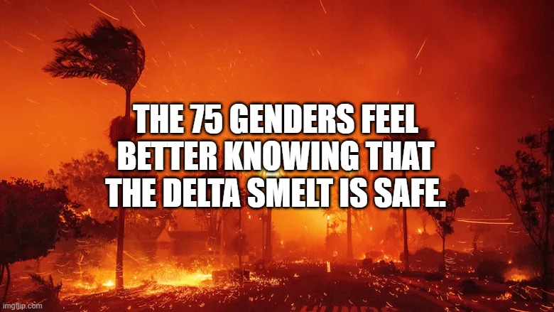 California Wildfires, 2025 | THE 75 GENDERS FEEL BETTER KNOWING THAT THE DELTA SMELT IS SAFE. | image tagged in california wildfires 2025 | made w/ Imgflip meme maker