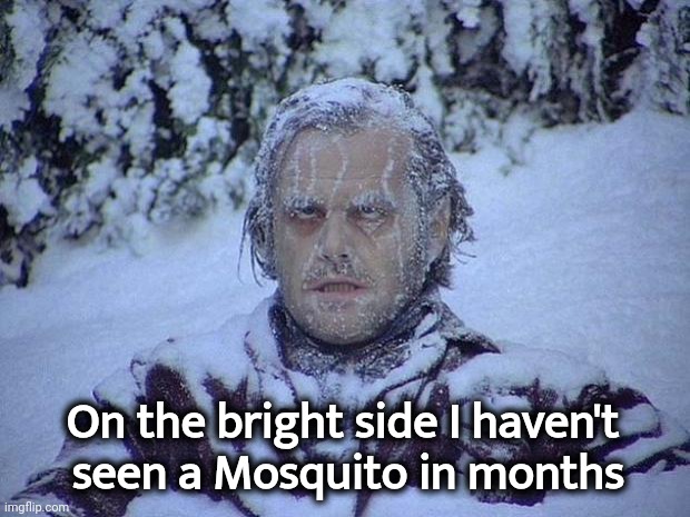 Jack Nicholson The Shining Snow Meme | On the bright side I haven't 
seen a Mosquito in months | image tagged in memes,jack nicholson the shining snow | made w/ Imgflip meme maker